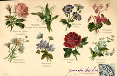CPA Fantaisie Le langage des Fleurs