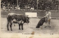 CPA Corrida Course de taureaux L'entree a Matar 