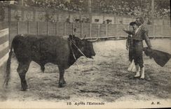 Vintage Postcard Bullfight Bullfight After the thrust
