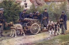 Postal Militaria Metralletas belgas Perro Perros