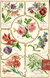 CPA Fantaisie Langage des Fleurs 