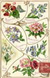 CPA Fantaisie Langage des Fleurs 
