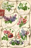 CPA Fantaisie Langage des Fleurs 
