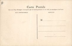 Vintage Postcard Fantasy Language of the Door Happiness Pig Pig Clover