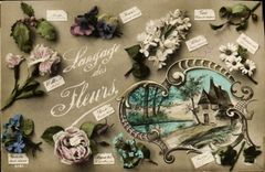 CPA Fantaisie Langage des Fleurs 