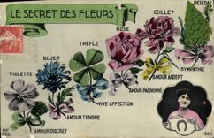 CPA Fantaisie Le secret des Fleurs 