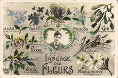 CPA Fantaisie Langage des Fleurs 
