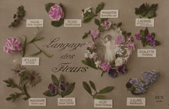 CPA Fantaisie Langage des Fleurs 