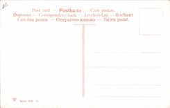 CPA Corrida Course de taureaux Capeo a la alimon