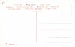 CPA Corrida Course de taureaux El brindis