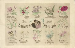 CPA Fantaisie Le langage des Fleurs 