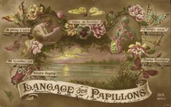 CPA Fantaisie Fleurs Langage des papillons 