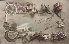 CPA Fantaisie Le langage des Fleurs 