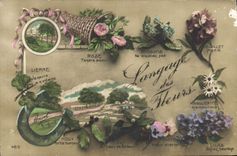 CPA Fantaisie Le langage des Fleurs 