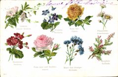 CPA Fantaisie Le langage des Fleurs 