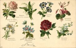 CPA Fantaisie Le langage des Fleurs 