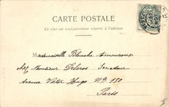 Vintage Postcard Fantasy the language of the Flowers the Lily Majesty Innocence