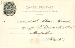 CPA Fantaisie Le langage des Fleurs Hortensia Froideur Caprice Amour du changement 