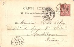 Vintage Postcard Fantaisie the language of the Flowers Violet Modesty Deserves mask