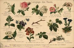 CPA Fantaisie Le langage des Fleurs 