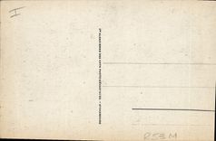 Vintage Postcard Palm trees Biskra Gathering of dates