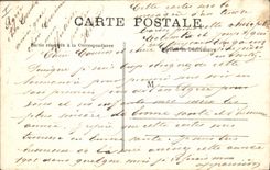 CPA Nice L'allee des Palmiers au chateau 