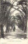 CPA Maison carree Allee des Palmiers 