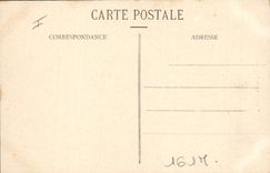 CPA Alger Jardins d'essai Allee des Palmiers 