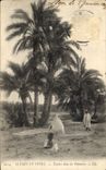 CPA Tombes dans les Palmiers 