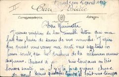 CPA Palmiers La recolte de dattes Les regimes 