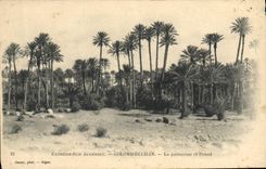 CPA Palmiers Extreme Sud Algerien Colomb Bechar La palmeraie et Foued 