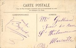 Vintage Postcard Palm trees Algeria a palm plantation around Touggourt