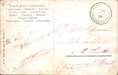 CPA Palmiers Oasis avec foret de dattiers 