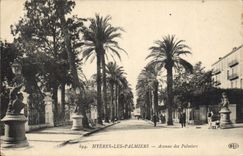 Vintage Postcard Avenue of the Hyeres Palm trees Palm trees
