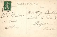 Vintage Postcard Avenue of the Hyeres Palm trees Palm trees