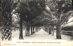 CPA Palmiers Hyeres Allee de palmiers Avenue de la gare 