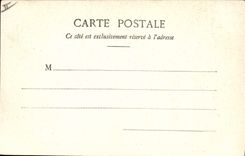 Vintage Postcard Hyeres Palm trees Gone of palm trees Avenue of the station