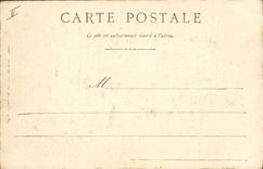 CPA Palmiers Alger Jardin d'essai Allee des palmiers 