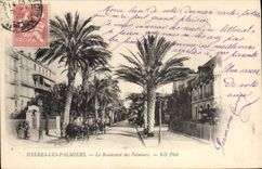 Vintage Postcard Hyeres Palm trees Palm trees the boulevard of the palm trees