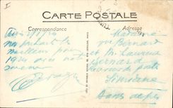 Vintage Postcard Palm trees the harvest of dates