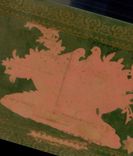 CPA Fantaisie Fleurs Colombes (carte transparente)