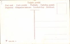 CPA Corrida Course de taureaux Capeo a la alimon 