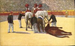 CPA Corrida Course de taureaux Arrastre 