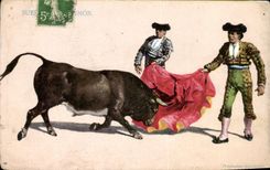 CPA Corrida Course de taureaux 