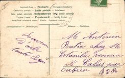 CPA Corrida Course de taureaux 