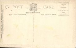 Modern Postcard Cinema Mary Pickford & Douglas Fairbanks Dog Dogs SIGNAL