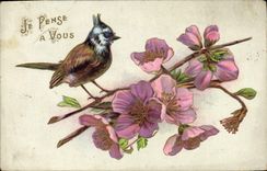 CPA Fantaisie Fleurs Oiseau 