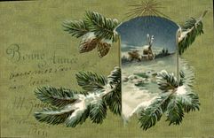 CPA Fantaisie Fleurs 