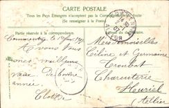 CPA Fantaisie Fleurs Cygnes 