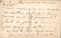 CPA Fantaisie Langage des Fleurs 